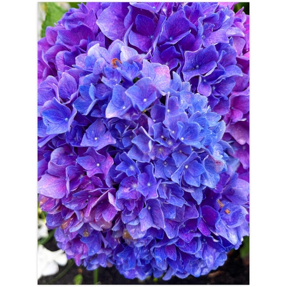 Meet your Posher, CupcakeCouture6! - Picture 1 of 1